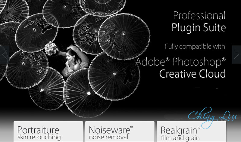 noiseware professional plugin for photoshop